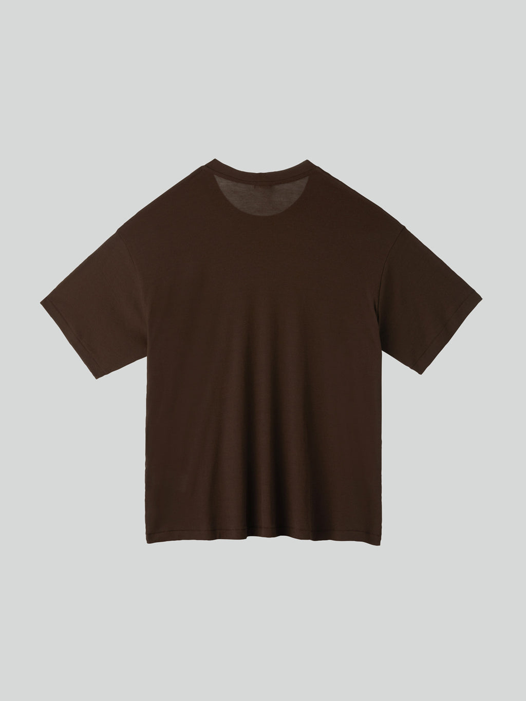 Loose Fit Sheer T-Shirt (Marron)