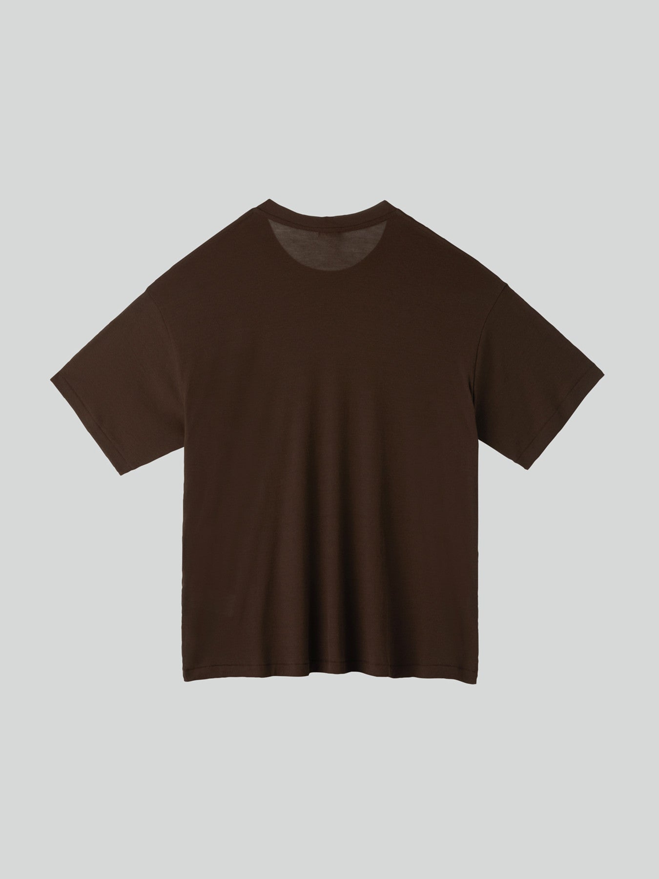 Loose Fit Sheer T-Shirt (Marron)