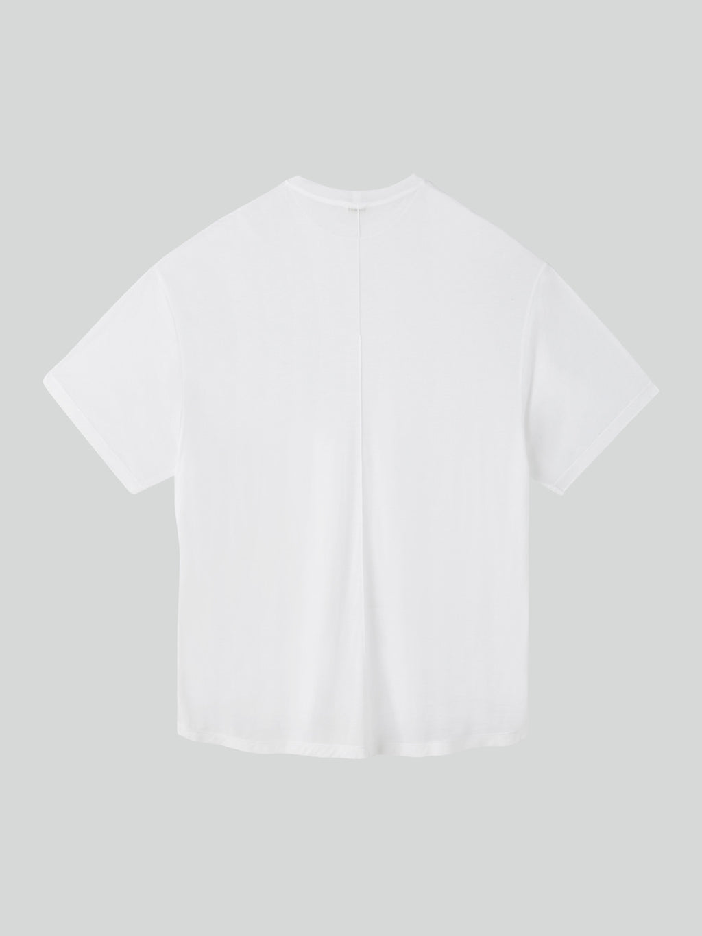 Oversized Sheer T-Shirt (Off White)
