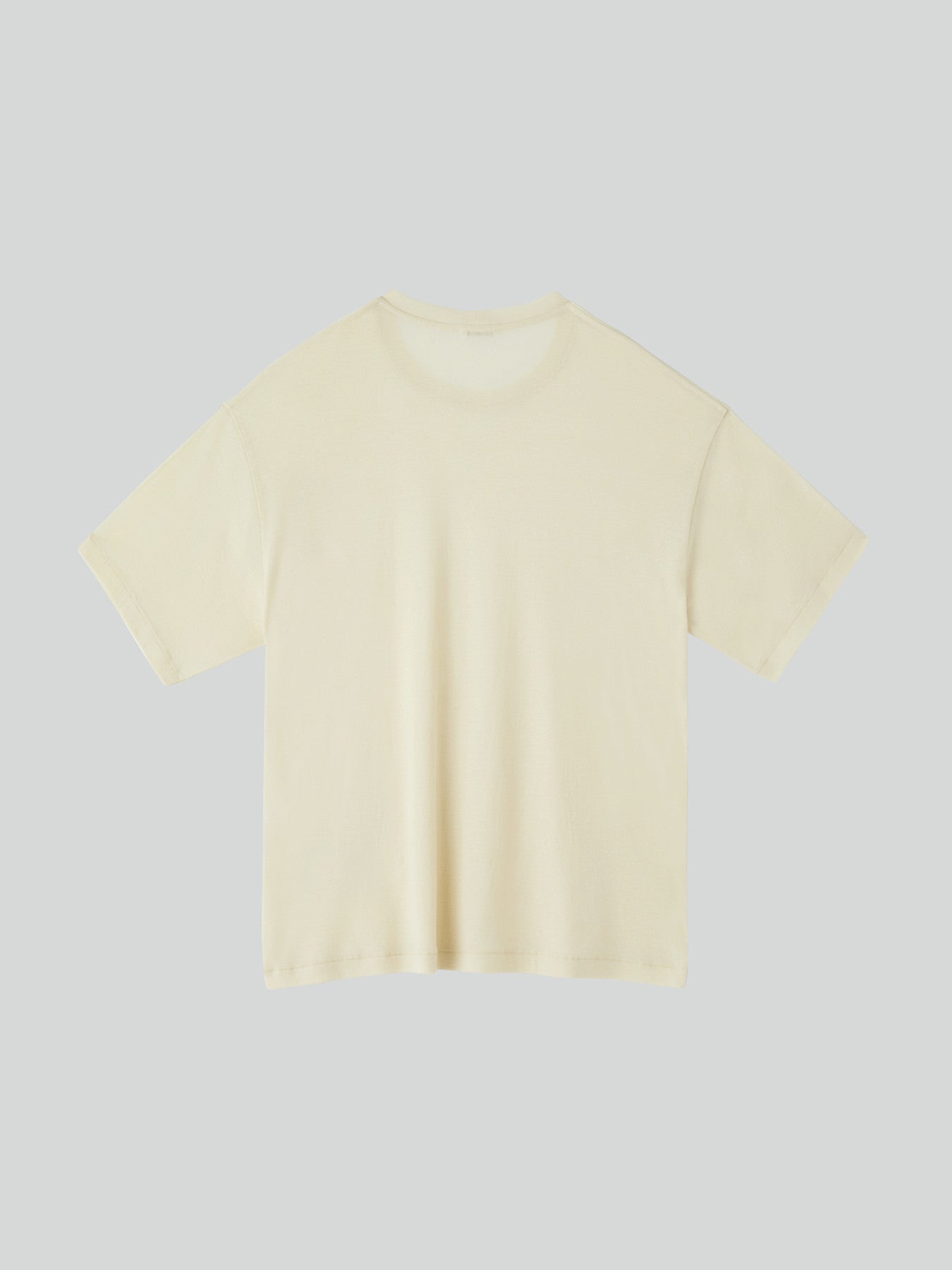 Loose Fit Sheer T-Shirt (Light Yellow)