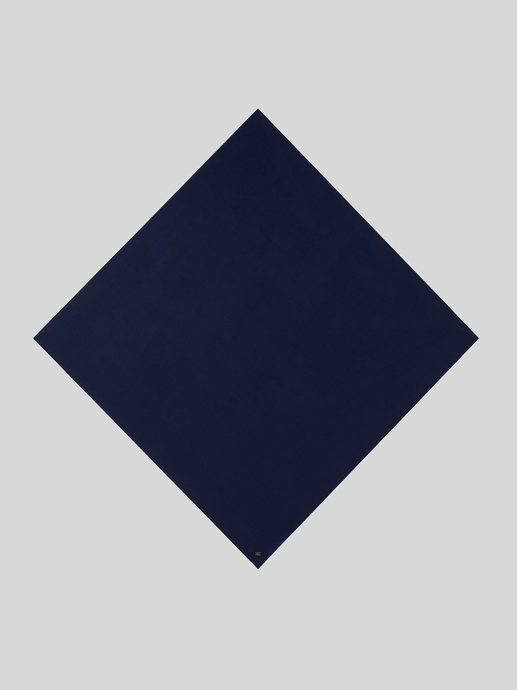 RC Silk Scarf (Navy)